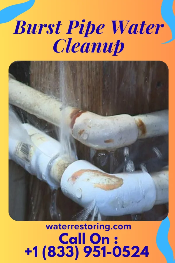 Burst Pipe Water Cleanup in Sharpsburg, NC