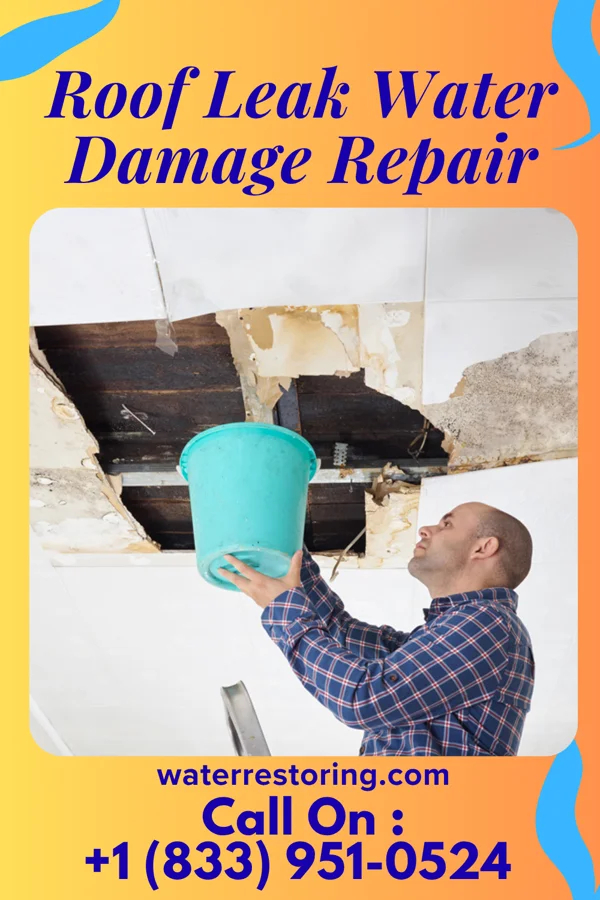 Roof Leak Water Damage Repair in Sharpsburg, NC